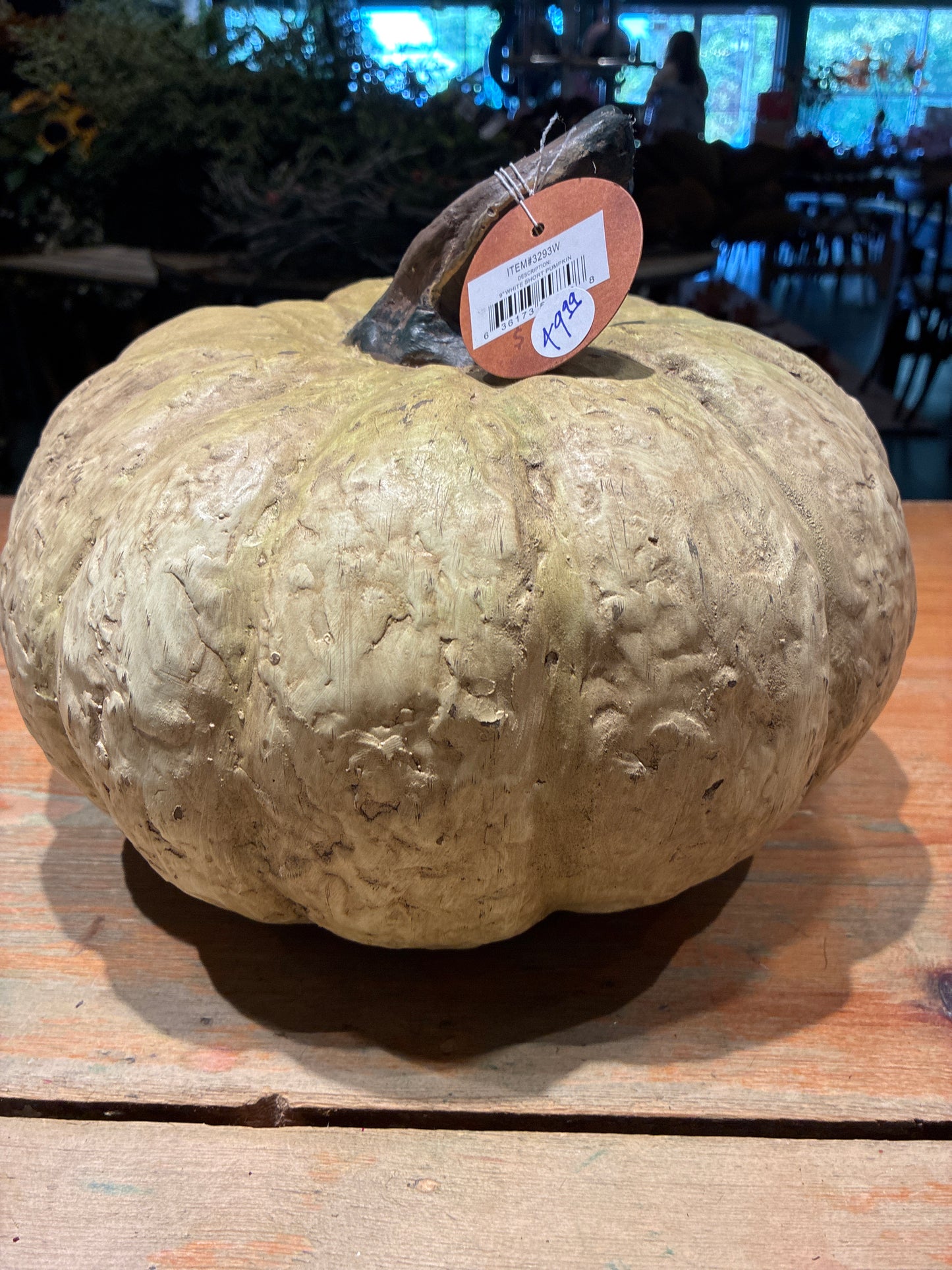 9” White Pumpkin