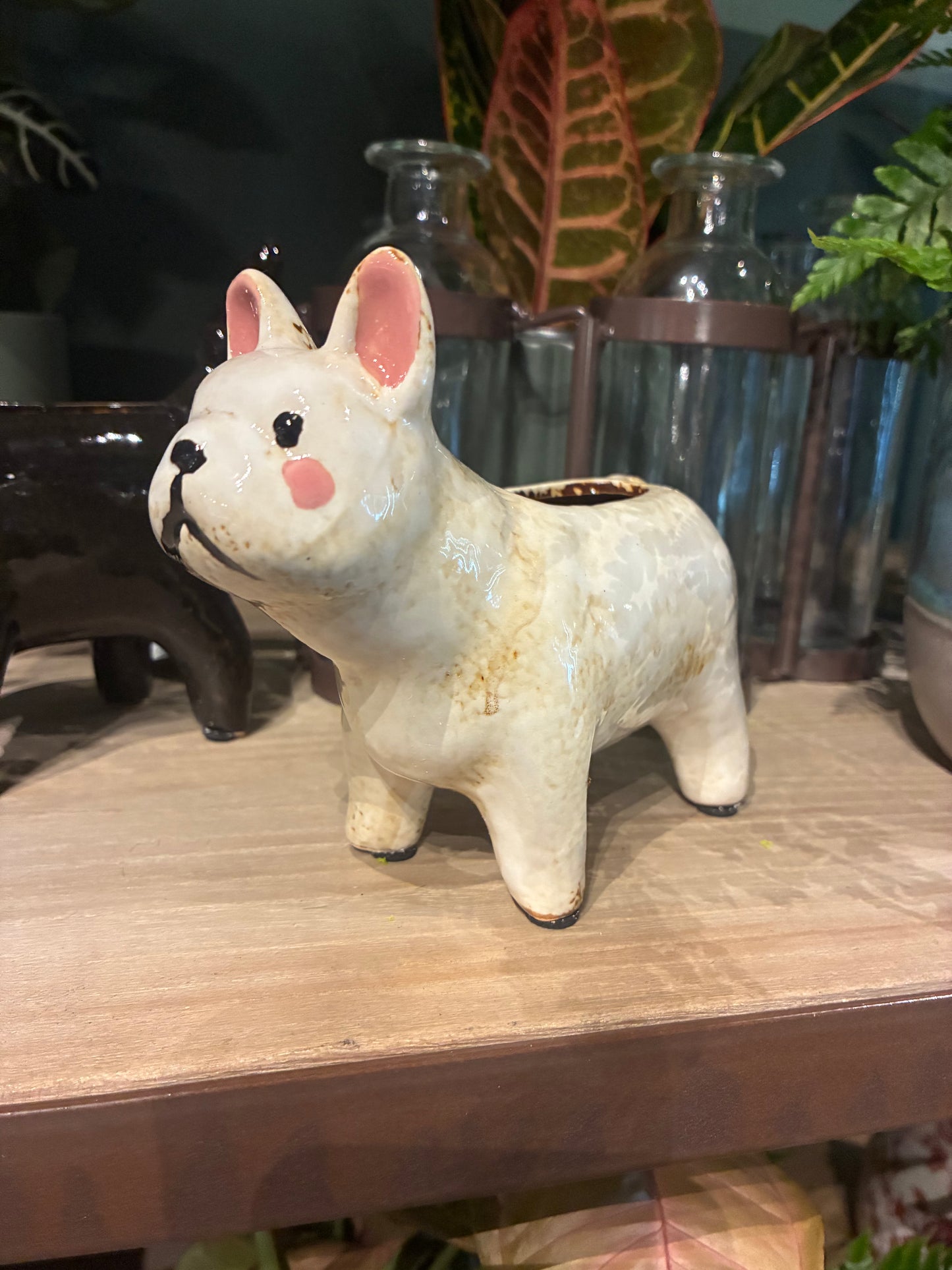 Ceramic Dog Planters