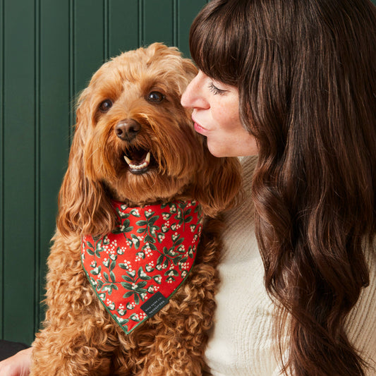 Rifle Paper Co. x TFD Mistletoe Dog Bandana