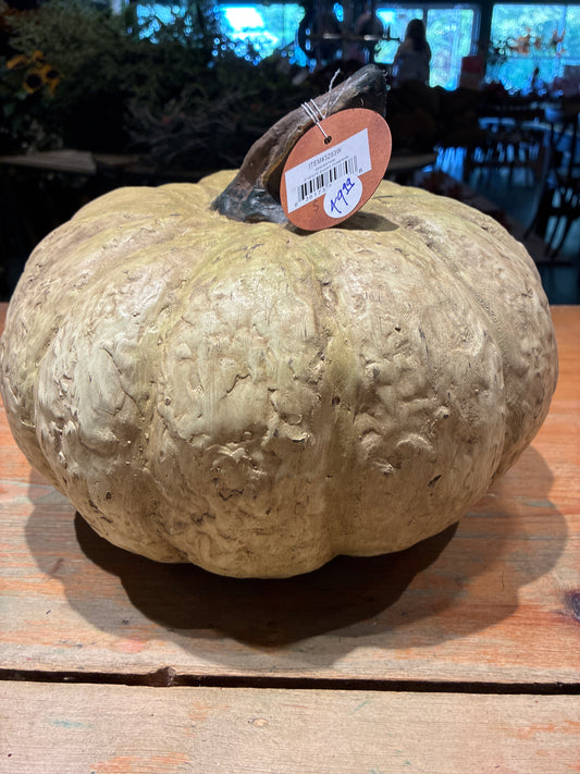 9” White Pumpkin