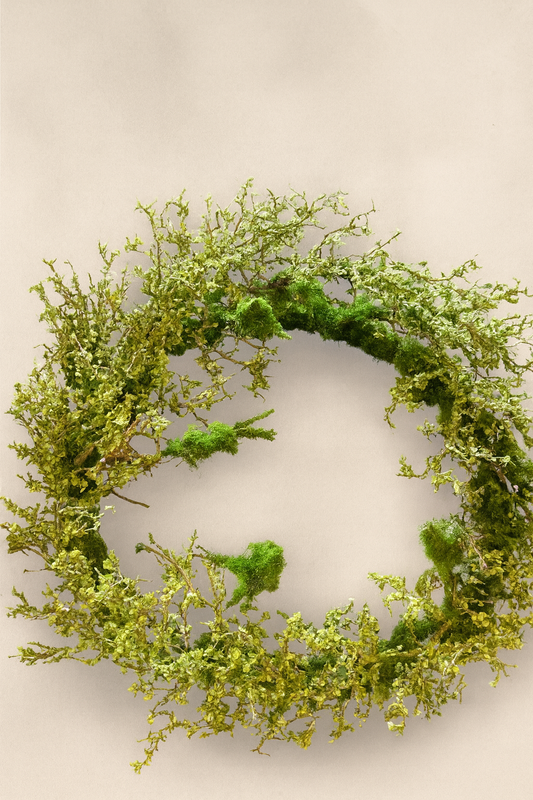 Spring Twig Wreath