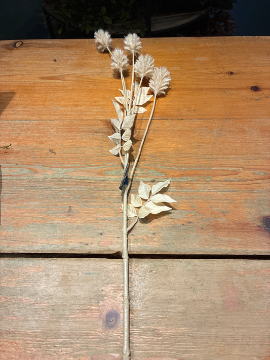 Dried Thistle Spray