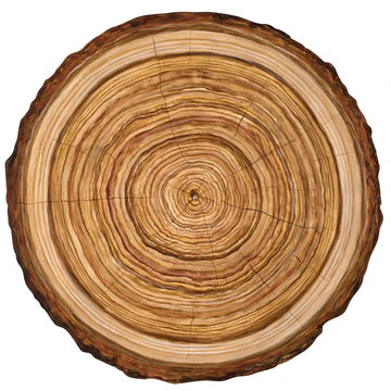 Die Cut Wood Slice Placemat - Set of 12