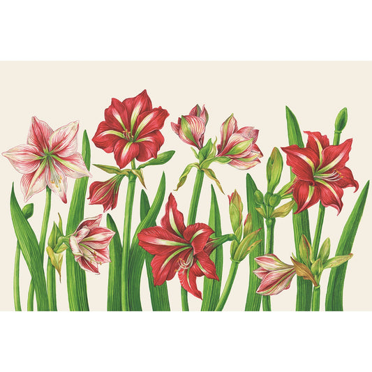 Amaryllis Blooms Placemat - Pad