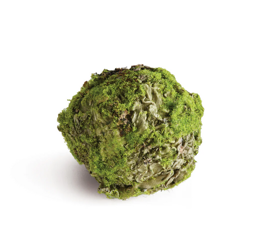 Mossy Lichen Orb 4"